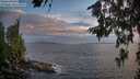 ./images/koeye/fitz-hugh/20260630/fitz-hugh20260630_213002M.jpg
