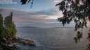 ./images/koeye/fitz-hugh/20260630/fitz-hugh20260630_213501M.jpg