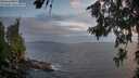 ./images/koeye/fitz-hugh/20260630/fitz-hugh20260630_214001M.jpg