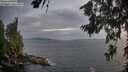 ./images/koeye/fitz-hugh/20260630/fitz-hugh20260630_215501M.jpg