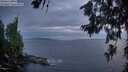 ./images/koeye/fitz-hugh/20260630/fitz-hugh20260630_222002M.jpg