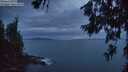 ./images/koeye/fitz-hugh/20260630/fitz-hugh20260630_223501M.jpg