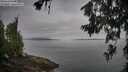 ./images/koeye/fitz-hugh/20260701/fitz-hugh20260701_075001M.jpg