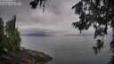 ./images/koeye/fitz-hugh/20260701/fitz-hugh20260701_085001M.jpg