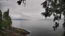 ./images/koeye/fitz-hugh/20260701/fitz-hugh20260701_095001M.jpg