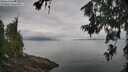 ./images/koeye/fitz-hugh/20260701/fitz-hugh20260701_101502M.jpg