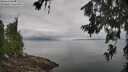 ./images/koeye/fitz-hugh/20260701/fitz-hugh20260701_102002M.jpg