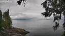 ./images/koeye/fitz-hugh/20260701/fitz-hugh20260701_104501M.jpg