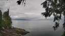 ./images/koeye/fitz-hugh/20260701/fitz-hugh20260701_105001M.jpg