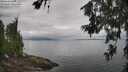 ./images/koeye/fitz-hugh/20260701/fitz-hugh20260701_105501M.jpg