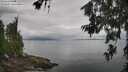 ./images/koeye/fitz-hugh/20260701/fitz-hugh20260701_110002M.jpg