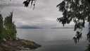 ./images/koeye/fitz-hugh/20260701/fitz-hugh20260701_110501M.jpg