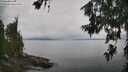 ./images/koeye/fitz-hugh/20260701/fitz-hugh20260701_113001M.jpg