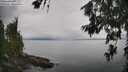 ./images/koeye/fitz-hugh/20260701/fitz-hugh20260701_113501M.jpg