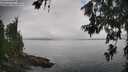 ./images/koeye/fitz-hugh/20260701/fitz-hugh20260701_114001M.jpg