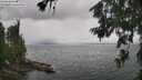 ./images/koeye/fitz-hugh/20260701/fitz-hugh20260701_125501M.jpg