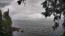 ./images/koeye/fitz-hugh/20260701/fitz-hugh20260701_140001M.jpg