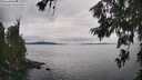 ./images/koeye/fitz-hugh/20260701/fitz-hugh20260701_161502M.jpg