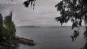 ./images/koeye/fitz-hugh/20260701/fitz-hugh20260701_202002M.jpg