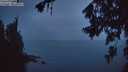 ./images/koeye/fitz-hugh/20260702/fitz-hugh20260702_045001M.jpg