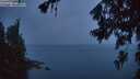 ./images/koeye/fitz-hugh/20260702/fitz-hugh20260702_045501M.jpg