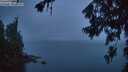 ./images/koeye/fitz-hugh/20260702/fitz-hugh20260702_050001M.jpg