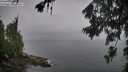./images/koeye/fitz-hugh/20260702/fitz-hugh20260702_063501M.jpg