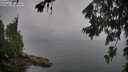 ./images/koeye/fitz-hugh/20260702/fitz-hugh20260702_064001M.jpg