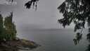 ./images/koeye/fitz-hugh/20260702/fitz-hugh20260702_071501M.jpg