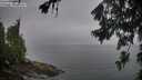 ./images/koeye/fitz-hugh/20260702/fitz-hugh20260702_072002M.jpg