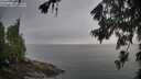 ./images/koeye/fitz-hugh/20260702/fitz-hugh20260702_073501M.jpg