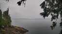 ./images/koeye/fitz-hugh/20260702/fitz-hugh20260702_084502M.jpg