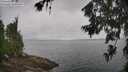./images/koeye/fitz-hugh/20260702/fitz-hugh20260702_105501M.jpg