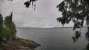 ./images/koeye/fitz-hugh/20260702/fitz-hugh20260702_110501M.jpg