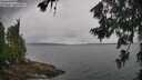 ./images/koeye/fitz-hugh/20260702/fitz-hugh20260702_112501M.jpg