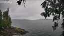 ./images/koeye/fitz-hugh/20260702/fitz-hugh20260702_113002M.jpg