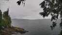 ./images/koeye/fitz-hugh/20260702/fitz-hugh20260702_114001M.jpg