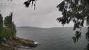 ./images/koeye/fitz-hugh/20260702/fitz-hugh20260702_115002M.jpg