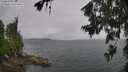 ./images/koeye/fitz-hugh/20260702/fitz-hugh20260702_123502M.jpg