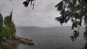 ./images/koeye/fitz-hugh/20260702/fitz-hugh20260702_124501M.jpg
