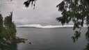 ./images/koeye/fitz-hugh/20260702/fitz-hugh20260702_161502M.jpg