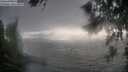 ./images/koeye/fitz-hugh/20260702/fitz-hugh20260702_184001M.jpg