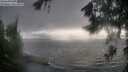 ./images/koeye/fitz-hugh/20260702/fitz-hugh20260702_184501M.jpg