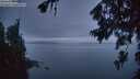 ./images/koeye/fitz-hugh/20260703/fitz-hugh20260703_045002M.jpg