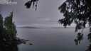 ./images/koeye/fitz-hugh/20260703/fitz-hugh20260703_050001M.jpg