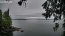 ./images/koeye/fitz-hugh/20260703/fitz-hugh20260703_053001M.jpg