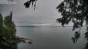 ./images/koeye/fitz-hugh/20260703/fitz-hugh20260703_053501M.jpg