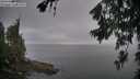 ./images/koeye/fitz-hugh/20260703/fitz-hugh20260703_072002M.jpg