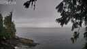 ./images/koeye/fitz-hugh/20260703/fitz-hugh20260703_074002M.jpg