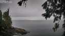 ./images/koeye/fitz-hugh/20260703/fitz-hugh20260703_074501M.jpg